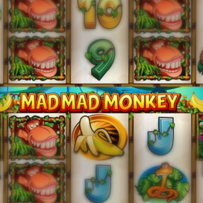 В симулятор игрового аппарата Mad, Mad Monkey можно сыграть без скачивания без смс онлайн без регистрации бесплатно в демо режиме