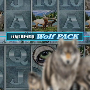 В симулятор слота Untamed Wolf Pack мы играем без регистрации бесплатно без смс без скачивания онлайн в демо режиме