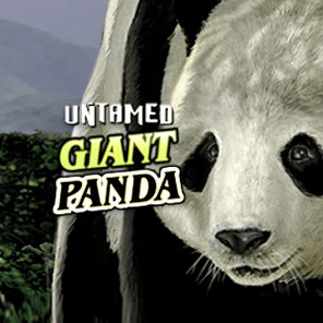 В азартную игру Untamed Giant Panda мы играем без скачивания онлайн без регистрации без смс бесплатно в режиме демо